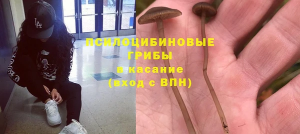 крисы Михайловск