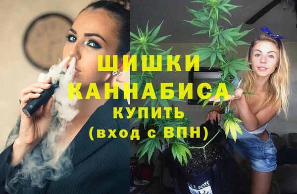 PSILOCYBIN Михайловка