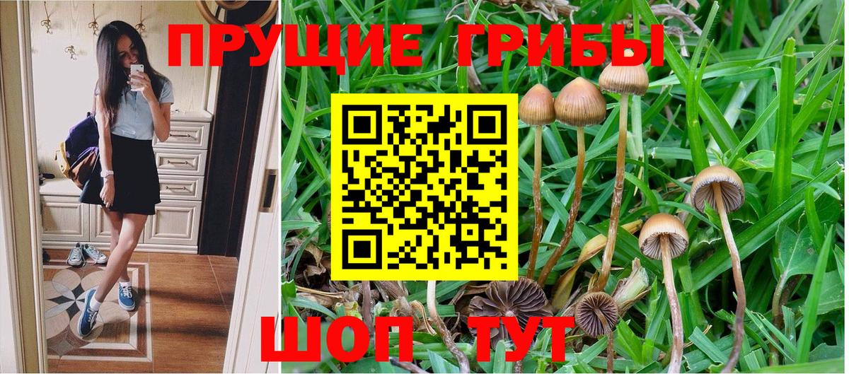 Галлюциногенные грибы прущие грибы  Галлюциногенные грибы MAGIC MUSHROOMS  Архангельск 