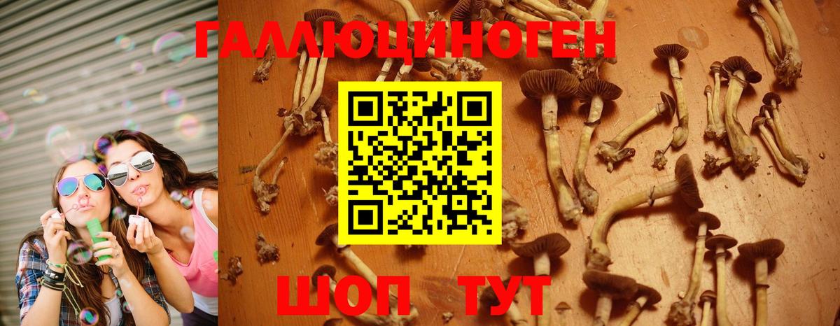 Псилоцибиновые грибы ЛСД  Псилоцибиновые грибы Cubensis  Архангельск  Вход с VPN 