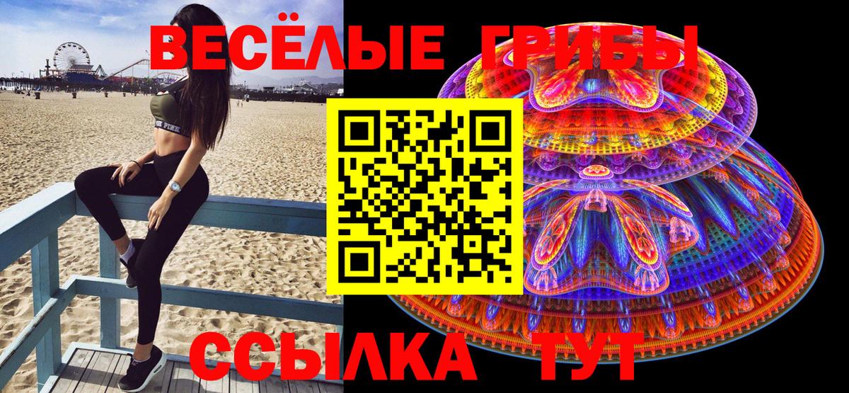 Галлюциногенные грибы Psilocybe Архангельск